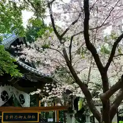 曽許乃御立神社の自然