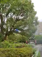 鶴ヶ峰稲荷神社の景色