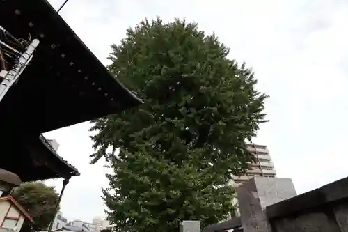 法禅寺のその他建物