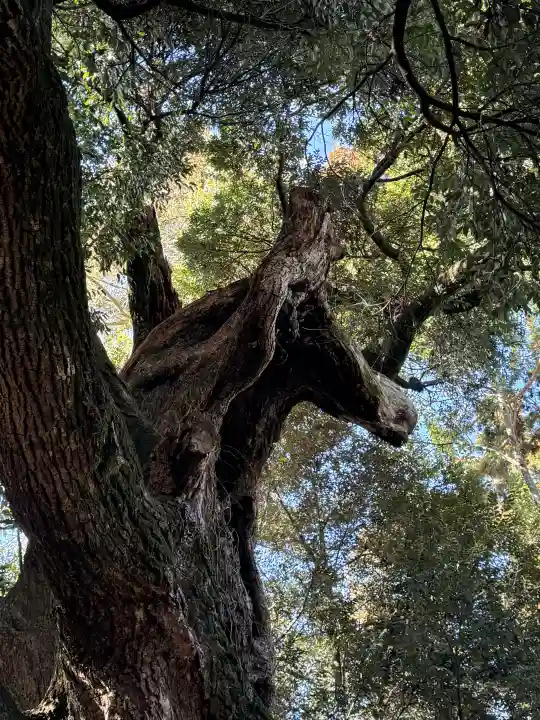 大杉神社の{uncategorized: "未分類", other: "その他", undefined: "問題あり", building: "その他建物", grave: "お墓", sacred_gate: "鳥居", guardian: "狛犬", statue: "像", buddha: "仏像", history: "歴史", nature: "自然", garden: "庭園", animal: "動物", pagoda: "塔", temizu: "手水舎", mountain_gate: "山門・神門", sanctuary: "本殿・本堂", subordinate: "末社・摂社", art: "芸術", scenery: "景色", jizo: "地蔵", ema: "絵馬", goshuin: "御朱印", omikuji: "おみくじ", items: "授与品その他", amulet: "お守り", goshuincho: "御朱印帳", eats: "食事", festival: "お祭り", votive_dance: "神楽", shichigosan: "七五三参", wedding: "結婚式", experience: "体験その他", initially: "初詣", around: "周辺", anti_infection: "感染症対策"}