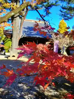 寛永寺(根本中堂)(東京都)