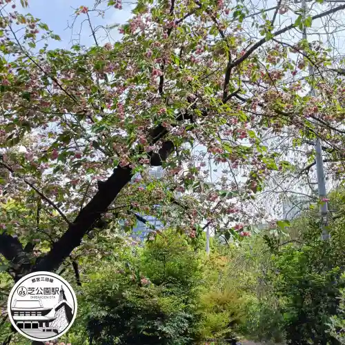 芝東照宮の自然