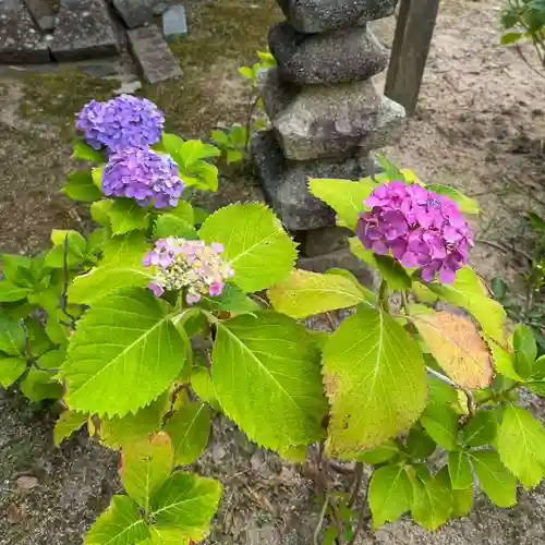 伊勢の国 四天王寺(三重県)