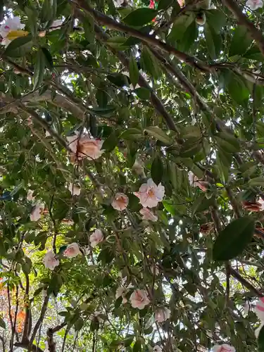 楠木神社(茨城県)