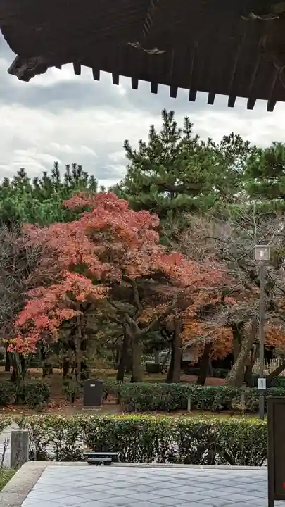 建仁寺(建仁禅寺)(京都府)