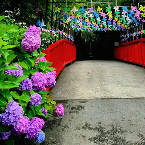 普門寺(切り絵御朱印発祥の寺)(愛知県)
