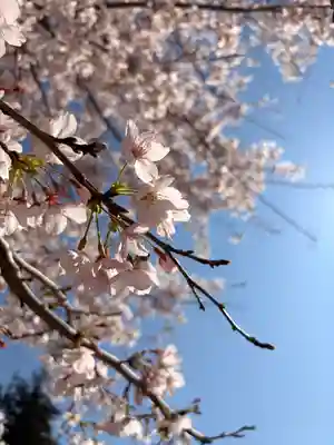 鹿嶋三嶋神社(茨城県)