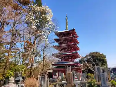 本土寺(千葉県)