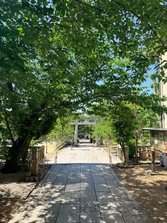 筒井八幡神社の{uncategorized: "未分類", other: "その他", undefined: "問題あり", building: "その他建物", grave: "お墓", sacred_gate: "鳥居", guardian: "狛犬", statue: "像", buddha: "仏像", history: "歴史", nature: "自然", garden: "庭園", animal: "動物", pagoda: "塔", temizu: "手水舎", mountain_gate: "山門・神門", sanctuary: "本殿・本堂", subordinate: "末社・摂社", art: "芸術", scenery: "景色", jizo: "地蔵", ema: "絵馬", goshuin: "御朱印", omikuji: "おみくじ", items: "授与品その他", amulet: "お守り", goshuincho: "御朱印帳", eats: "食事", festival: "お祭り", votive_dance: "神楽", shichigosan: "七五三参", wedding: "結婚式", experience: "体験その他", initially: "初詣", around: "周辺", anti_infection: "感染症対策"}