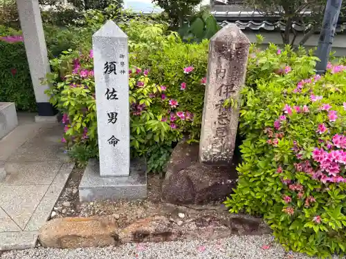 伊和志津神社の{uncategorized: "未分類", other: "その他", undefined: "問題あり", building: "その他建物", grave: "お墓", sacred_gate: "鳥居", guardian: "狛犬", statue: "像", buddha: "仏像", history: "歴史", nature: "自然", garden: "庭園", animal: "動物", pagoda: "塔", temizu: "手水舎", mountain_gate: "山門・神門", sanctuary: "本殿・本堂", subordinate: "末社・摂社", art: "芸術", scenery: "景色", jizo: "地蔵", ema: "絵馬", goshuin: "御朱印", omikuji: "おみくじ", items: "授与品その他", amulet: "お守り", goshuincho: "御朱印帳", eats: "食事", festival: "お祭り", votive_dance: "神楽", shichigosan: "七五三参", wedding: "結婚式", experience: "体験その他", initially: "初詣", around: "周辺", anti_infection: "感染症対策"}
