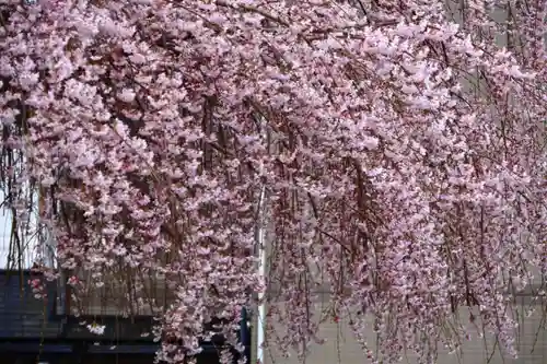 熊野福藏神社の自然