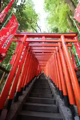 日枝神社の鳥居