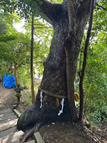 阿奈志神社(愛知県)
