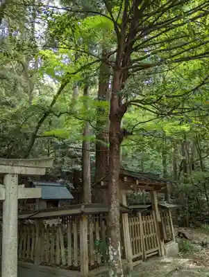 熊野若王子神社(京都府)