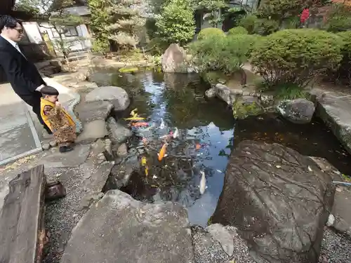 吉備津神社(岡山県)