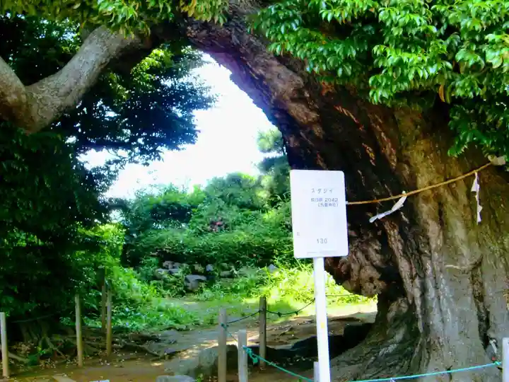 九重神社(埼玉県)