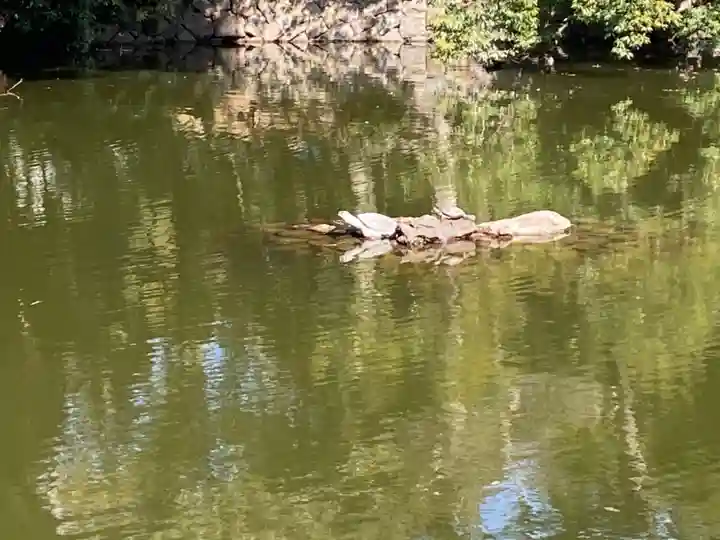 武蔵一宮氷川神社の庭園