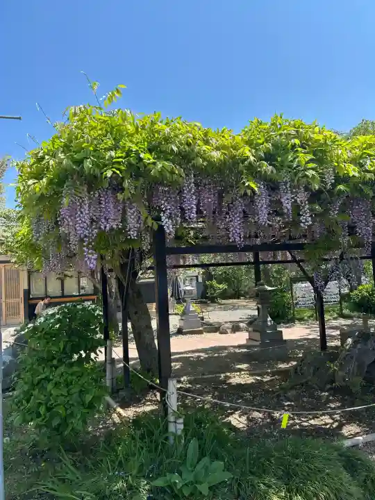 諏訪神社(宮城県)