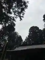 大宮温泉神社(栃木県)