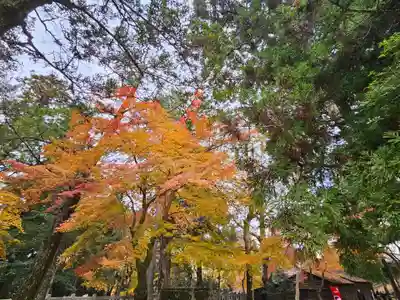 手向山八幡宮(奈良県)