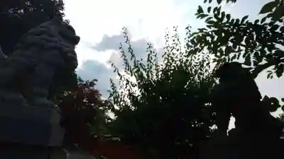 稗田野神社(薭田野神社)(京都府)