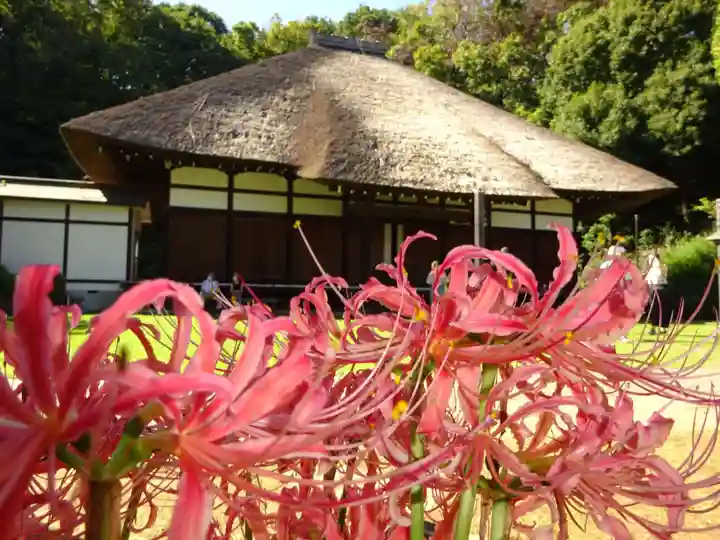 横浜 西方寺の本殿・本堂