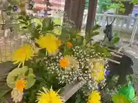 彌彦神社 (伊夜日子神社)の手水舎