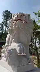 鹿嶋三嶋神社の狛犬