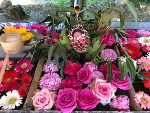 坂本八幡神社の手水