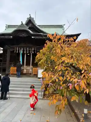 桜神宮(東京都)
