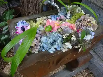 菊名神社の手水舎