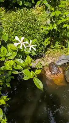 宝蔵寺(京都府)