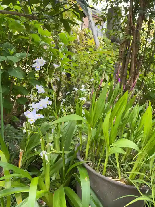 谷中 妙福寺(東京都)
