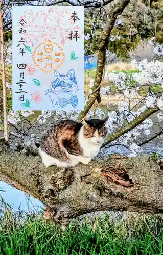 白金氷川神社の御朱印