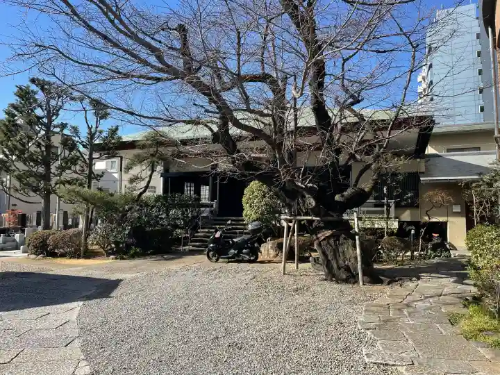 正行寺の{uncategorized: "未分類", other: "その他", undefined: "問題あり", building: "その他建物", grave: "お墓", sacred_gate: "鳥居", guardian: "狛犬", statue: "像", buddha: "仏像", history: "歴史", nature: "自然", garden: "庭園", animal: "動物", pagoda: "塔", temizu: "手水舎", mountain_gate: "山門・神門", sanctuary: "本殿・本堂", subordinate: "末社・摂社", art: "芸術", scenery: "景色", jizo: "地蔵", ema: "絵馬", goshuin: "御朱印", omikuji: "おみくじ", items: "授与品その他", amulet: "お守り", goshuincho: "御朱印帳", eats: "食事", festival: "お祭り", votive_dance: "神楽", shichigosan: "七五三参", wedding: "結婚式", experience: "体験その他", initially: "初詣", around: "周辺", anti_infection: "感染症対策"}