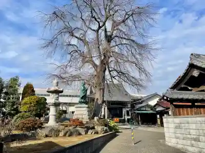 伝法寺の{uncategorized: "未分類", other: "その他", undefined: "問題あり", building: "その他建物", grave: "お墓", sacred_gate: "鳥居", guardian: "狛犬", statue: "像", buddha: "仏像", history: "歴史", nature: "自然", garden: "庭園", animal: "動物", pagoda: "塔", temizu: "手水舎", mountain_gate: "山門・神門", sanctuary: "本殿・本堂", subordinate: "末社・摂社", art: "芸術", scenery: "景色", jizo: "地蔵", ema: "絵馬", goshuin: "御朱印", omikuji: "おみくじ", items: "授与品その他", amulet: "お守り", goshuincho: "御朱印帳", eats: "食事", festival: "お祭り", votive_dance: "神楽", shichigosan: "七五三参", wedding: "結婚式", experience: "体験その他", initially: "初詣", around: "周辺", anti_infection: "感染症対策"}