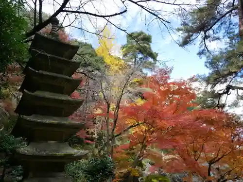 洞窟観音・徳明園・山徳記念館の景色