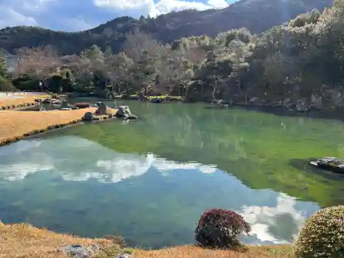 天龍寺の庭園