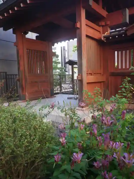 大巧寺の山門・神門