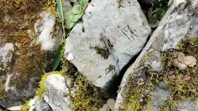 正寿院(京都府)