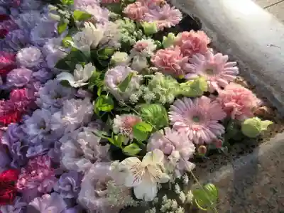 金峯神社の手水舎