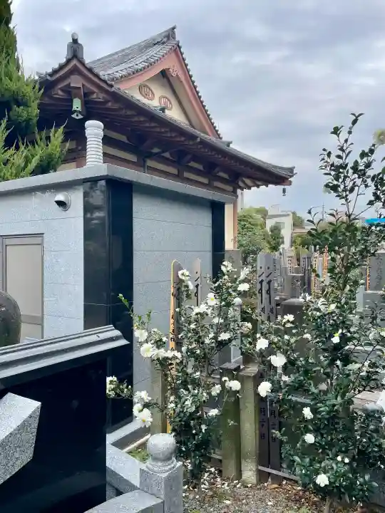 光明寺の{uncategorized: "未分類", other: "その他", undefined: "問題あり", building: "その他建物", grave: "お墓", sacred_gate: "鳥居", guardian: "狛犬", statue: "像", buddha: "仏像", history: "歴史", nature: "自然", garden: "庭園", animal: "動物", pagoda: "塔", temizu: "手水舎", mountain_gate: "山門・神門", sanctuary: "本殿・本堂", subordinate: "末社・摂社", art: "芸術", scenery: "景色", jizo: "地蔵", ema: "絵馬", goshuin: "御朱印", omikuji: "おみくじ", items: "授与品その他", amulet: "お守り", goshuincho: "御朱印帳", eats: "食事", festival: "お祭り", votive_dance: "神楽", shichigosan: "七五三参", wedding: "結婚式", experience: "体験その他", initially: "初詣", around: "周辺", anti_infection: "感染症対策"}