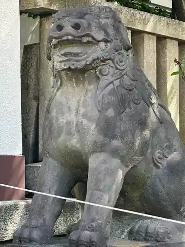 富岡八幡宮の狛犬