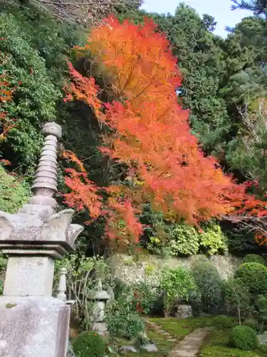 寂光院の塔