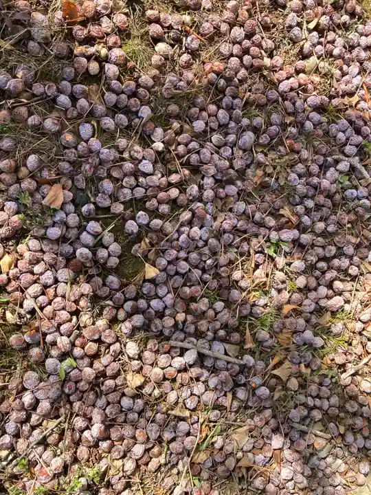河合神社(茨城県)