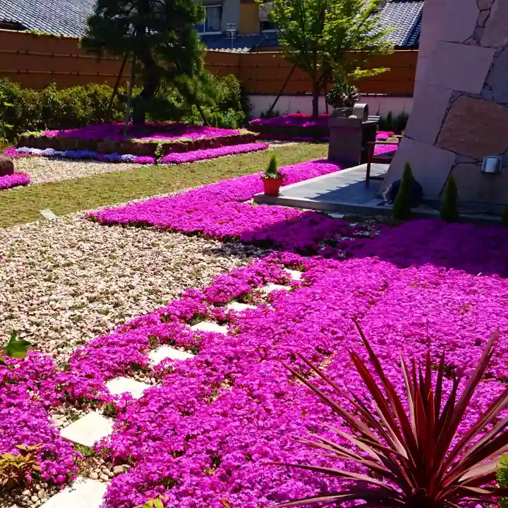 寿量山 速成寺の庭園