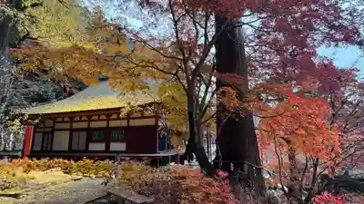 談山神社(奈良県)