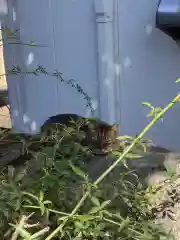 三輪神社の動物