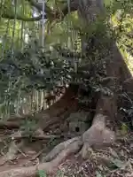 五所神社(千葉県)