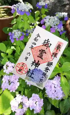 6月御朱印 ｢紫陽花｣